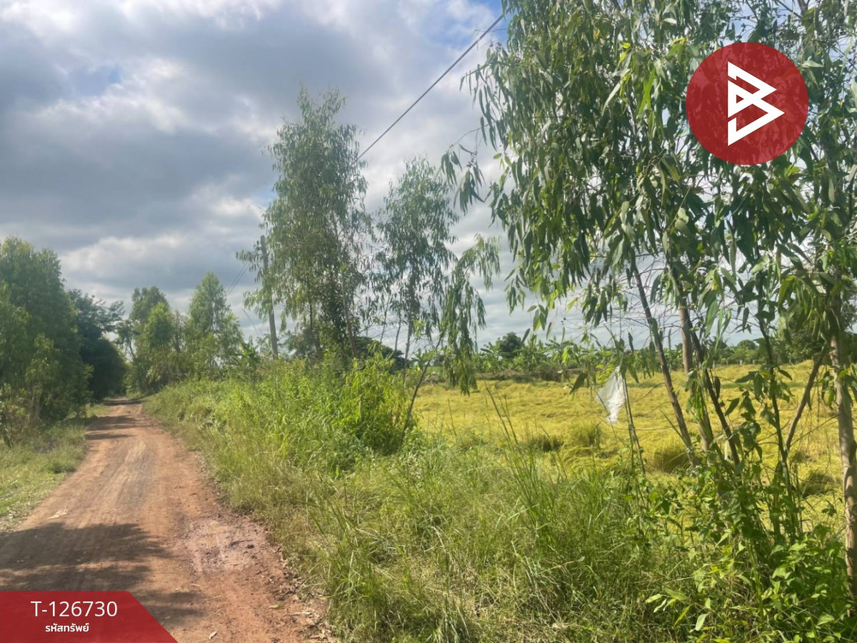 Land for sale, area 26 rai 1 ngan 49 sq m, Prakhon Chai, Buriram. – รูปที่ 4