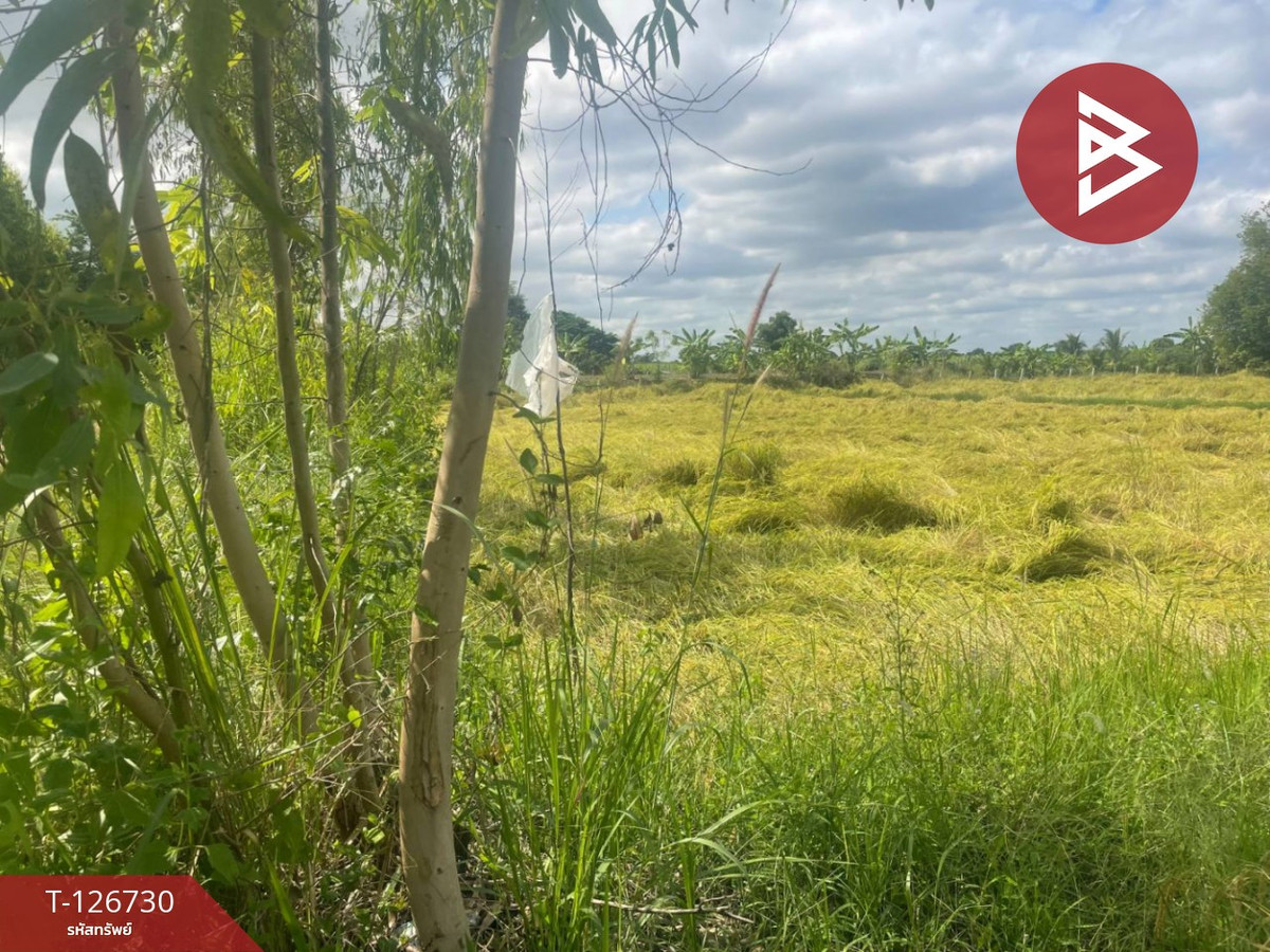 Land for sale, area 26 rai 1 ngan 49 sq m, Prakhon Chai, Buriram. – รูปที่ 3