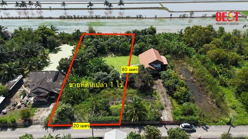 ขายที่ดินเปล่า 1 ไร่ หนองจอก ชุมชนหมู่ 4 ร่วมพัฒนา – บรรยากาศดี เหมาะสร้างบ้านพักอาศัย