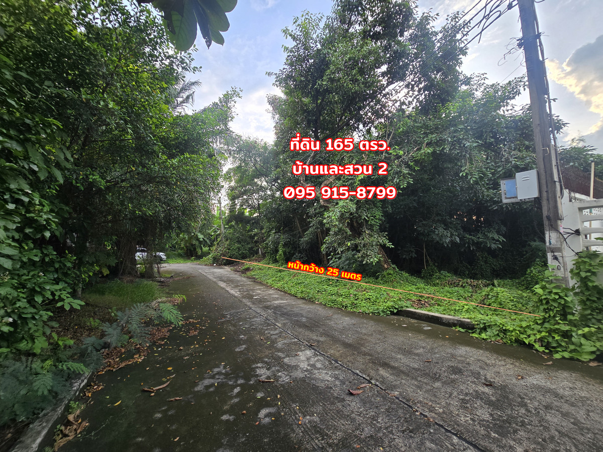 ที่ดินแปลงเล็ก 165 ตร.วา ถนนสุขาภิบาลบางระมาด ซอยสมาคมชาวปักษ์ใต้ มบ. บ้านและสวน 2 หลัง The Paseo กาญจนาฯ – รูปที่ 3