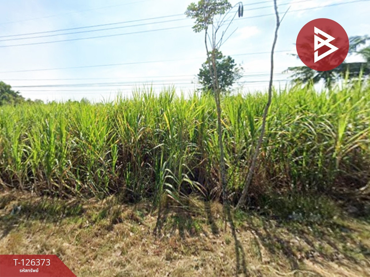 ขายด่วนที่ดิน เนื้อที่ 7 ไร่ 61.1 ตร.วา จอมบึง ราชบุรี ขายด่วนที่ดิน เนื้อที่ 7 ไร่ 61.1 ตร.วา จอมบึง ราชบุรี
