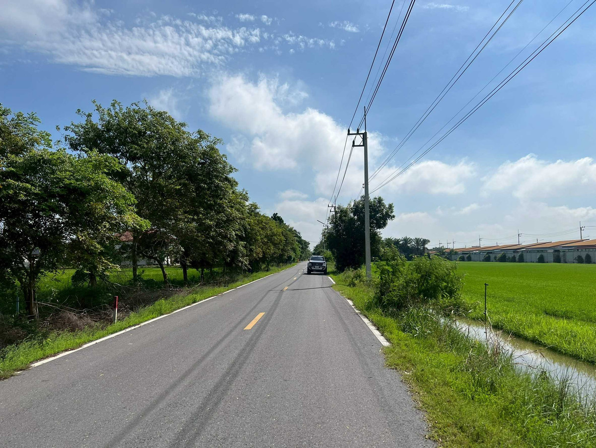 Vacant Land for Sale, 1 Rai, Accessed via Soi 47, Behind Chay Si Ba Mee Kiew Factory, Pathum Thani – รูปที่ 2