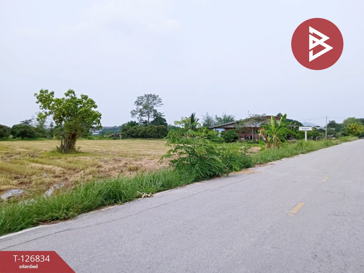 ขายที่ดิน เนื้อที่ 3 ไร่ 3 งาน 85 ตร.วา เทิง เชียงราย – รูปที่ 4