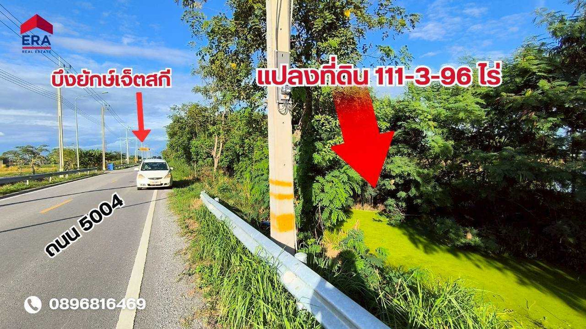 ขายที่ดิน 111 ไร่ 3 งาน 96 ตร.ว. ใกล้นิคมอุตสาหกรรมเวลโกรว์ – รูปที่ 3