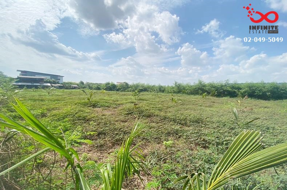 Land for sale, 462 sq m, Rama 2-Ekachai, Soi Kanda, Samut Sakhon, already filled in, water and electricity ready. – รูปที่ 3