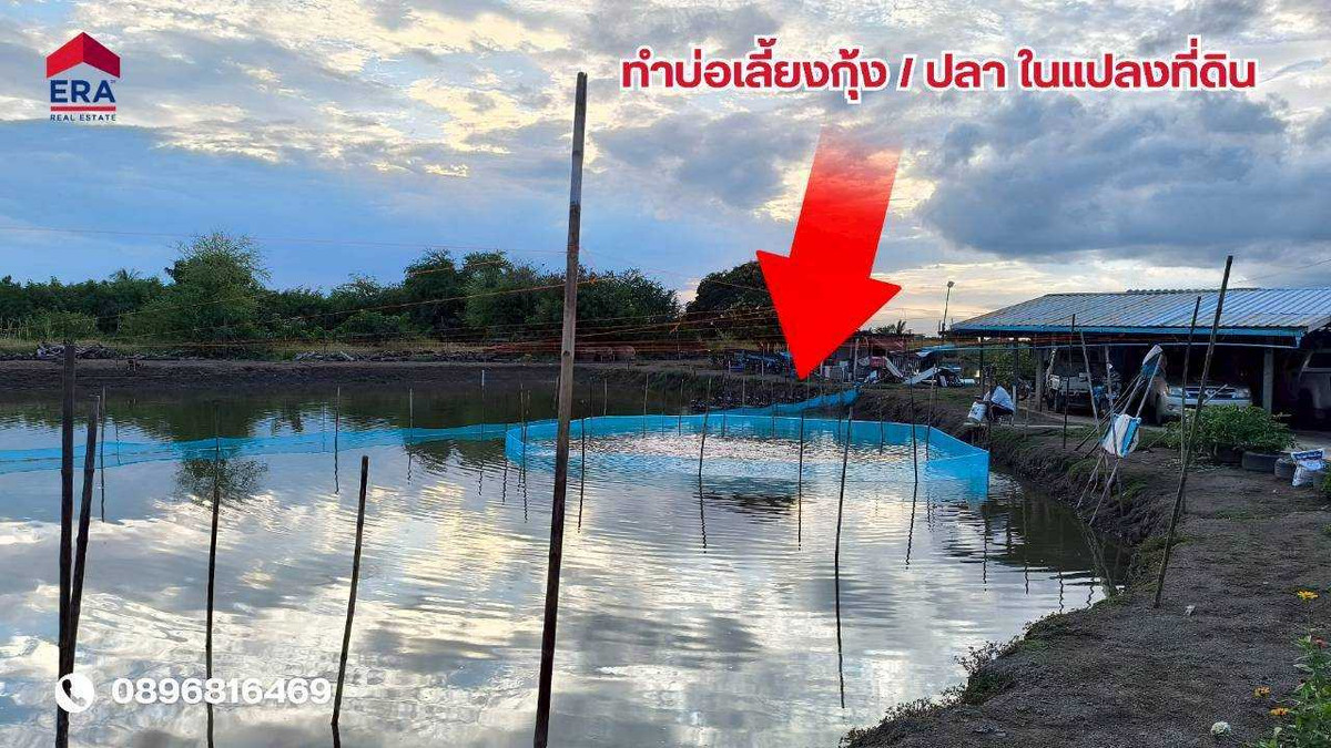 ขายที่ดิน 111 ไร่ 3 งาน 96 ตร.ว. ใกล้นิคมอุตสาหกรรมเวลโกรว์ – รูปที่ 4