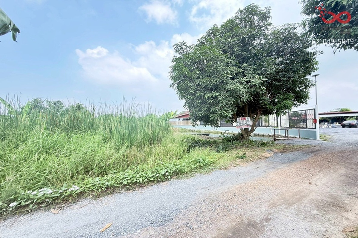 ขายที่ดิน 1ไร่ 1งาน 6.5ตรว.ถนนเชียงราก ใกล้ทางด่วนอุดรรัถยา ม.ธรรมศาสตร์ – รูปที่ 4