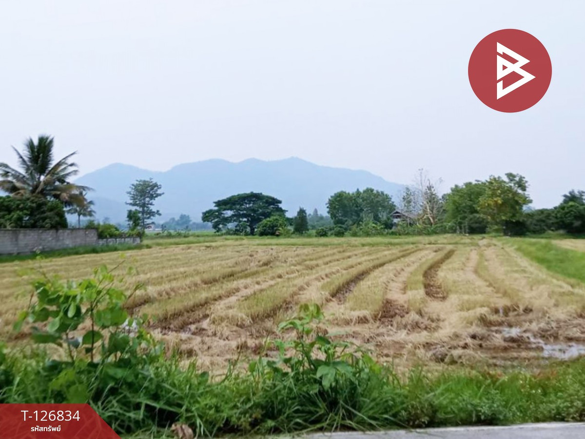 ขายที่ดิน เนื้อที่ 3 ไร่ 3 งาน 85 ตร.วา เทิง เชียงราย – รูปที่ 2