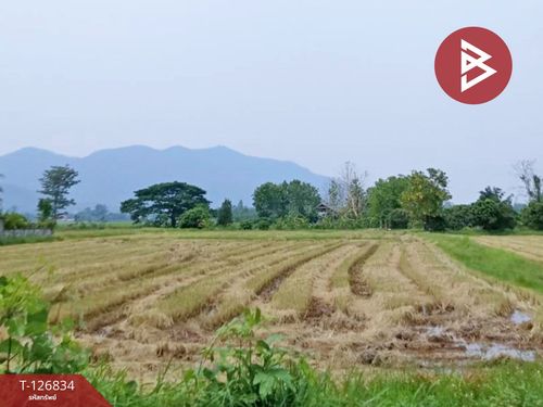 ขายที่ดิน เนื้อที่ 3 ไร่ 3 งาน 85 ตร.วา เทิง เชียงราย