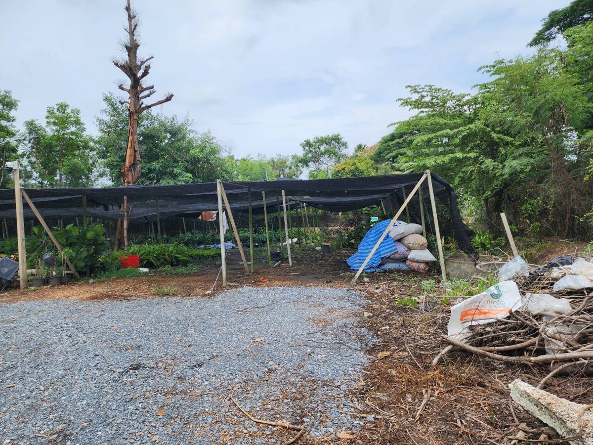 🌳 Large plot of land for sale, 7-0-70 rai, Soi along Khlong Prapa. Sam Kwai Phueak District Nakhon Pathom Province, good location near Nakhon Pathom city. 🌳 Large plot of land for sale, 7-0-70 rai, Soi along Khlong Prapa. Sam Kwai Phueak District Nakhon Pathom Province, good location near Nakhon Pathom city.