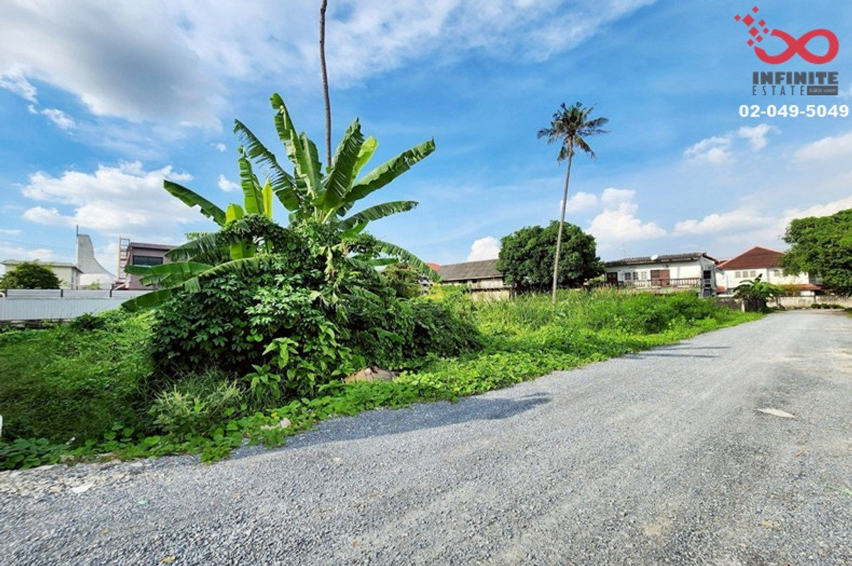 ขายที่ดิน 330 ตรว. ราชพฤกษ์ 36-สวนผัก 5 สร้างบ้านหรู/โฮมออฟฟิศ – รูปที่ 3