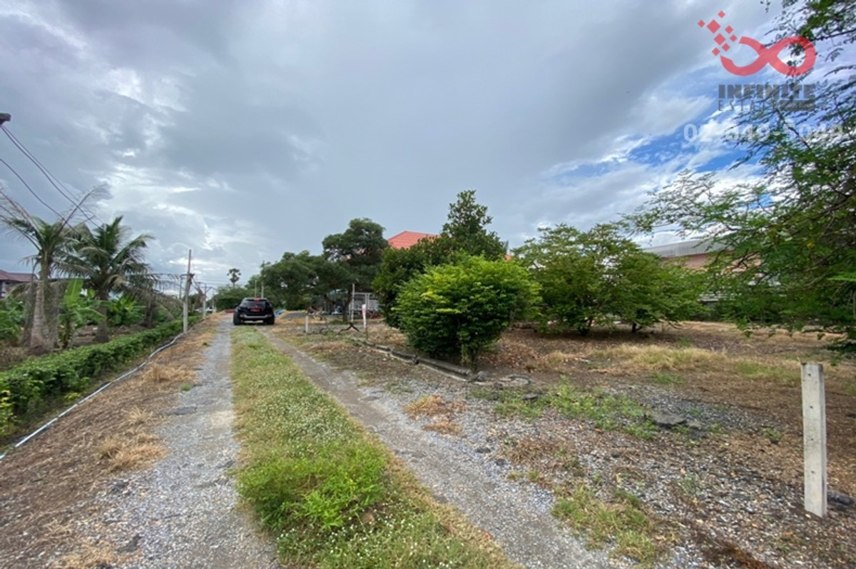 ขายที่ดินเปล่า 100ตรว.ลาดหลุมแก้ว ถนนบางบัวทอง-สุพรรณบุรี ปทุมธานี – รูปที่ 4