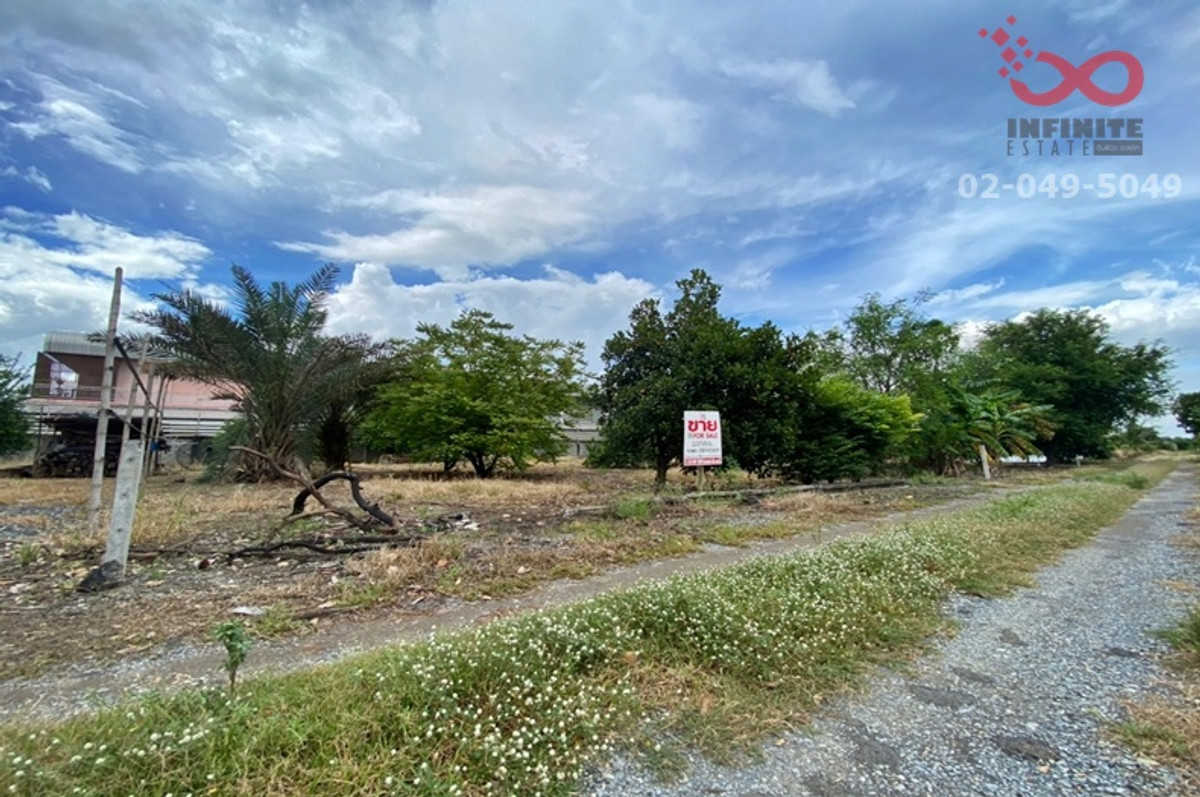 ขายที่ดินเปล่า 100ตรว.ลาดหลุมแก้ว ถนนบางบัวทอง-สุพรรณบุรี ปทุมธานี – รูปที่ 3