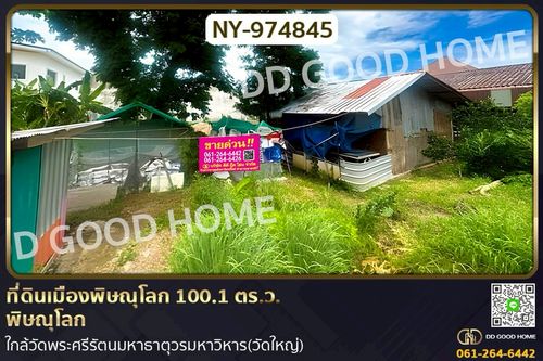 NY-974845 Land in Mueang Phitsanulok District, 100.1 sq wah, Phitsanulok