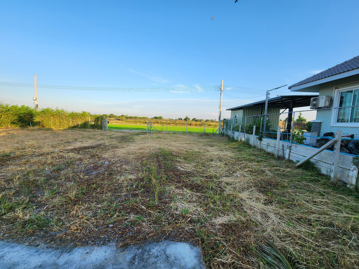  ขายบ้านสวนริมบึง200ตรว. ไทรน้อย นนทุบรี – รูปที่ 2