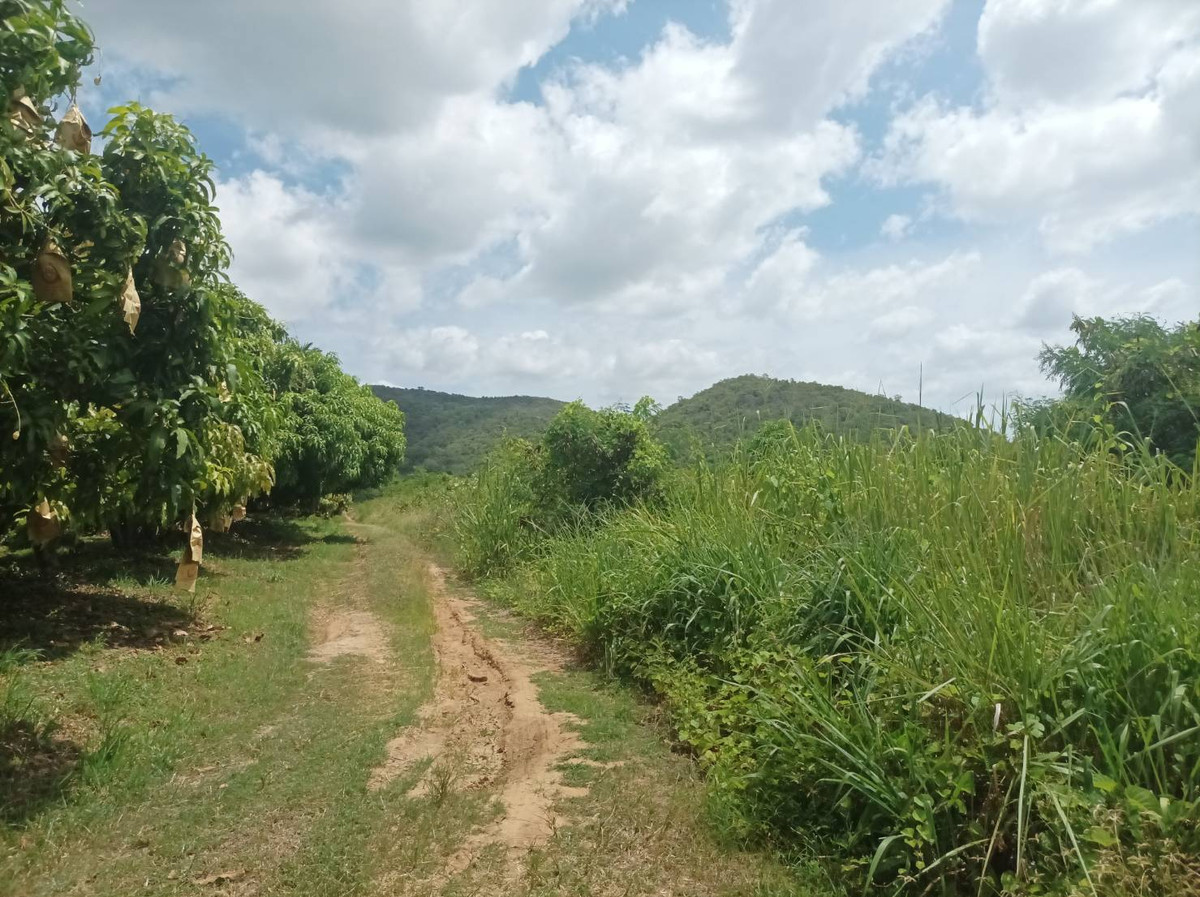 Beautiful Land with Mountain Views in Pranburi - U5715290 Beautiful Land with Mountain Views in Pranburi - U5715290