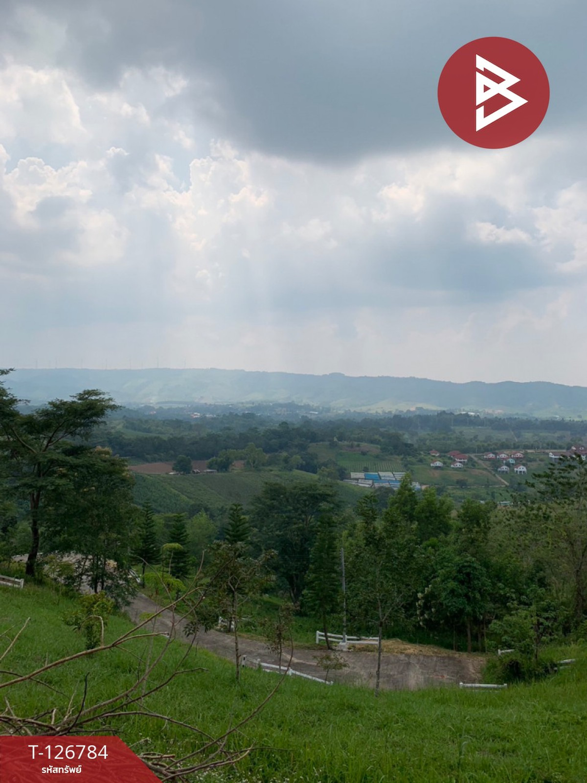 ขาย/เช่า ที่ดิน เนื้อที่ 3 งาน 41 ตร.วา เขาค้อ เพชรบูรณ์ ขาย/เช่า ที่ดิน เนื้อที่ 3 งาน 41 ตร.วา เขาค้อ เพชรบูรณ์