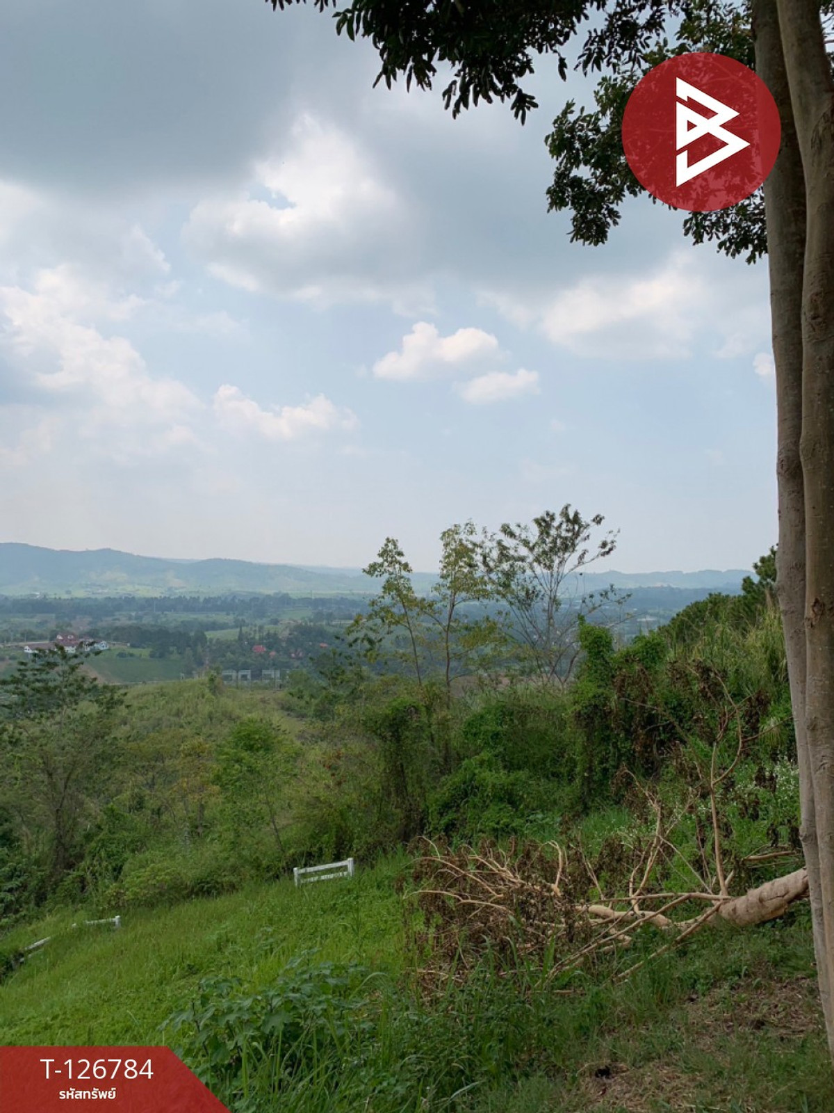 ขาย/เช่า ที่ดิน เนื้อที่ 3 งาน 41 ตร.วา เขาค้อ เพชรบูรณ์ – รูปที่ 2