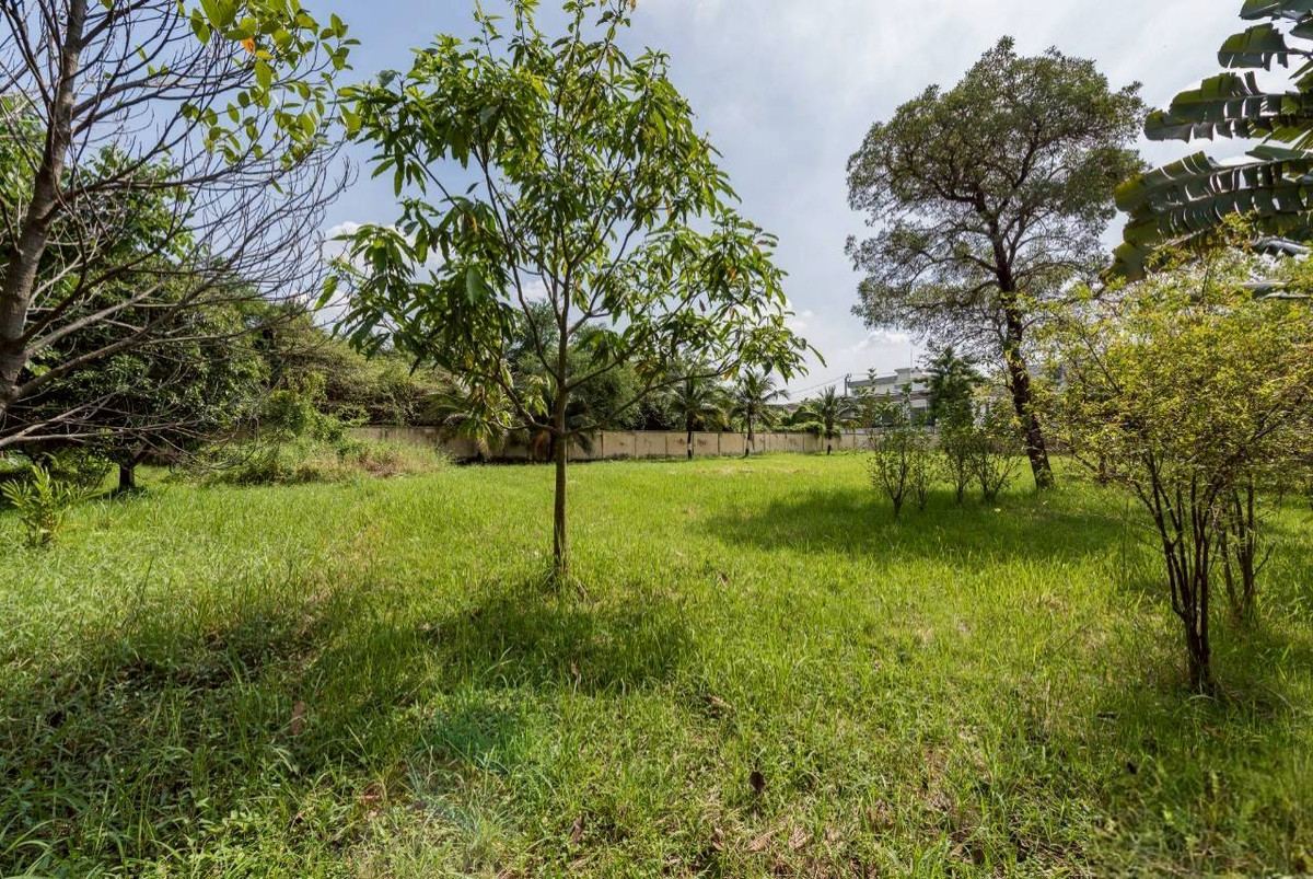 *** ราคาคุยกันได้***ขายที่ดินเปล่า  1-2-42.8 ไร่ ถมแล้ว  ซอยพระรามที่ 2 ซ.44  ใกล้เซ็นทรัลพระราม 2 – รูปที่ 4