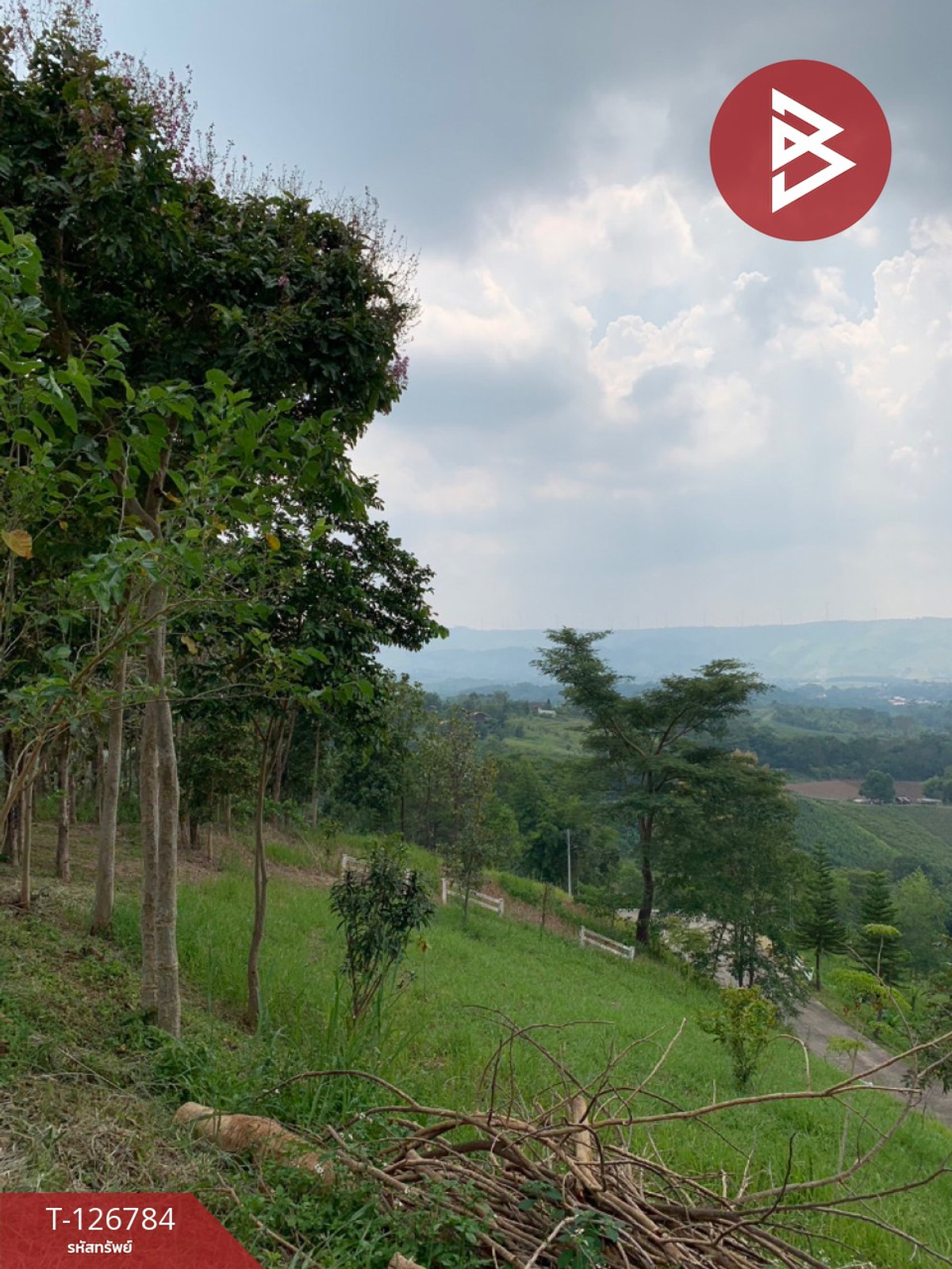 ขาย/เช่า ที่ดิน เนื้อที่ 3 งาน 41 ตร.วา เขาค้อ เพชรบูรณ์ – รูปที่ 3