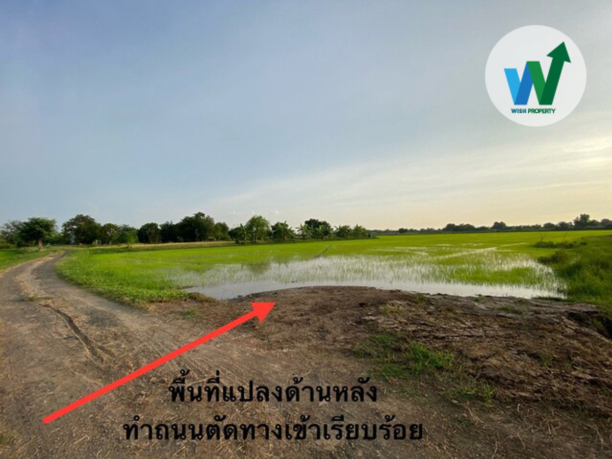 ขายที่ดิน  68-3-20 ไร่ ในบ้านโพธิ์ ฉะเชิงเทรา ทำเลดี ใกล้ถนนหลัก เหมาะสำหรับการลงทุน – รูปที่ 3