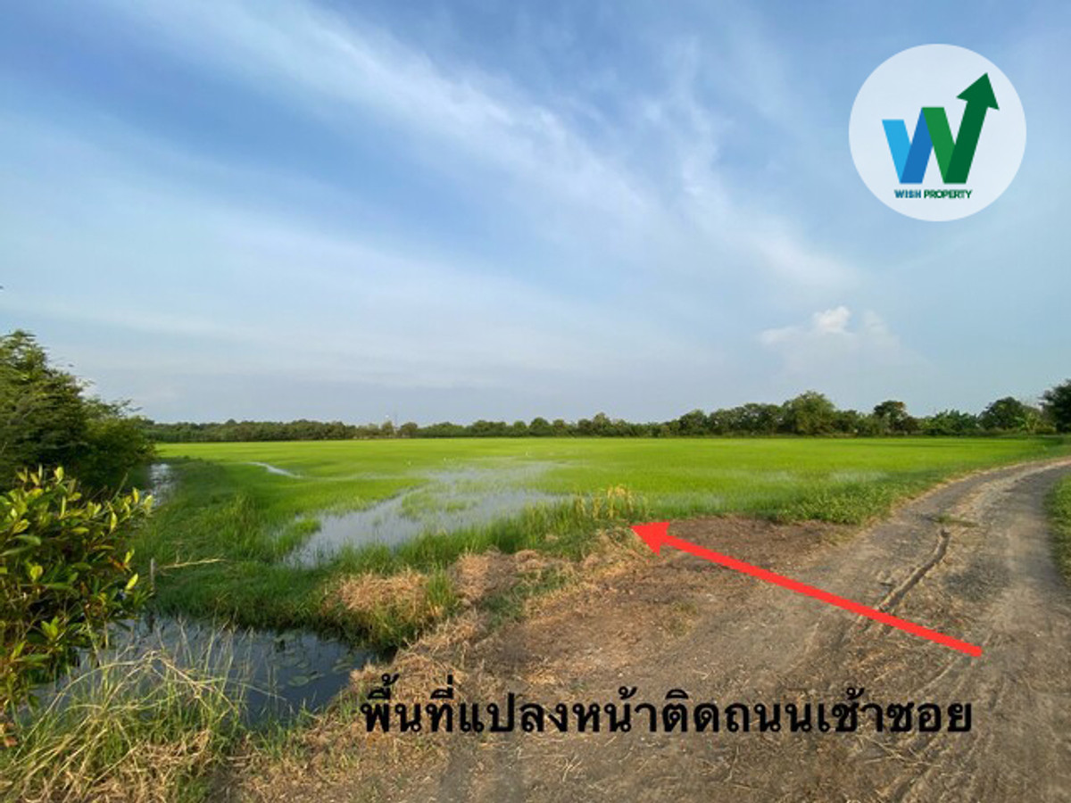 ขายที่ดิน  68-3-20 ไร่ ในบ้านโพธิ์ ฉะเชิงเทรา ทำเลดี ใกล้ถนนหลัก เหมาะสำหรับการลงทุน – รูปที่ 2