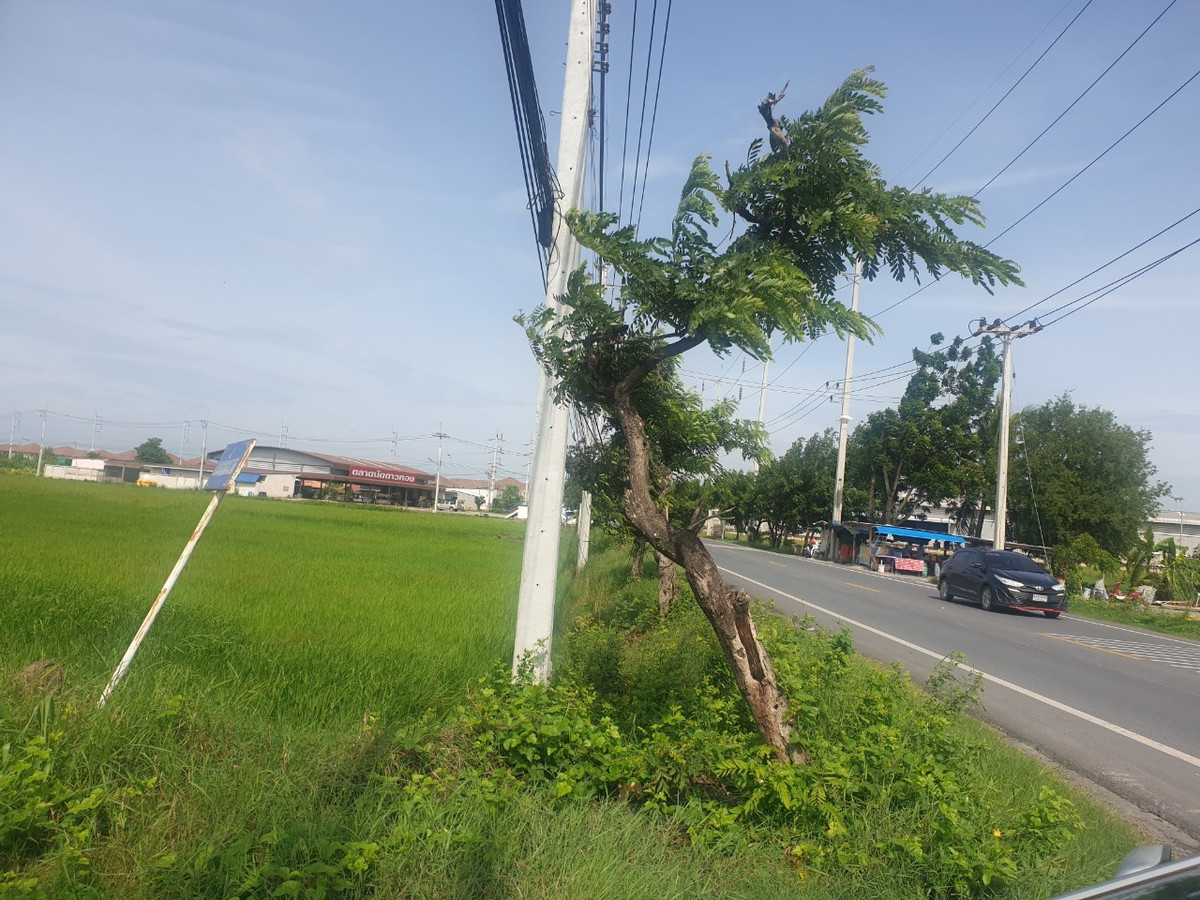 94653 - ขายที่ดิน 29 ไร่ 1 งาน 32 ตร.ว. พุทธมณฑล จ.นครปฐม