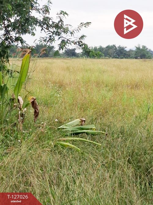 Land for sale, area 3 rai, Thoeng, Chiang Rai.