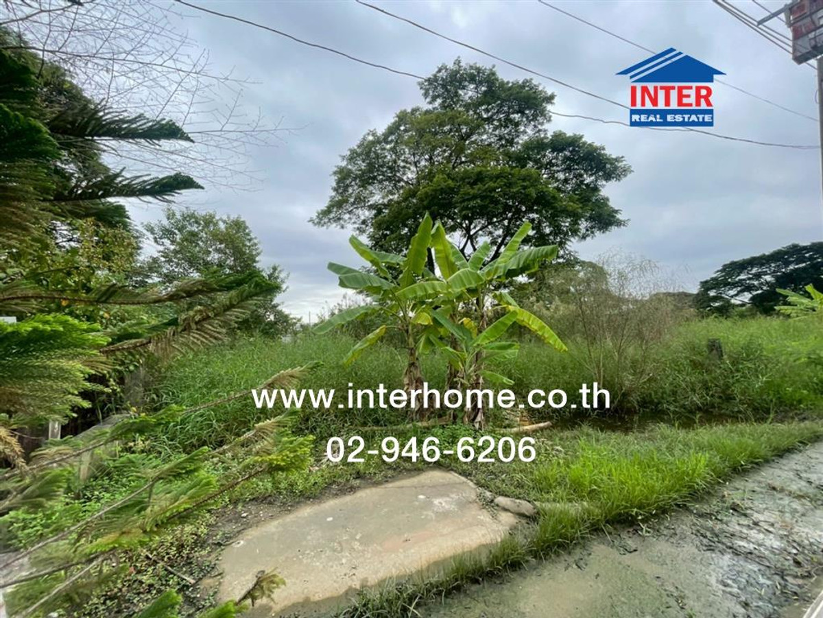 ที่ดินเปล่า 150 ตร.ว. ที่ดิน หมู่บ้านเมืองทองการ์เด้นท์ ซอยพัฒนาการ69 แยก8-2 ถนนศรีนครินทร์ ถนนพัฒนาการ69 เขตประเวศ กรุงเทพมหานคร – รูปที่ 4