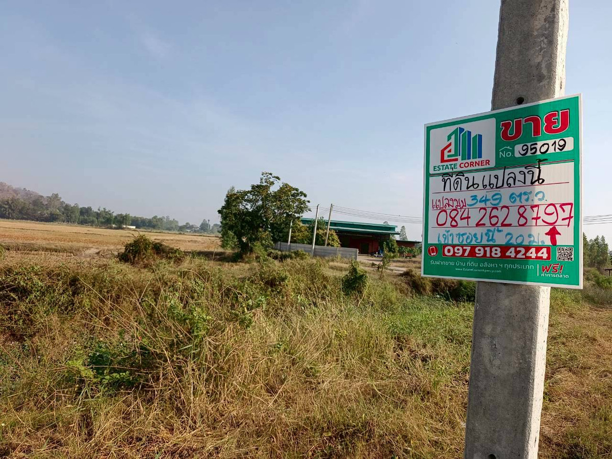95019 - ขายที่ดินเปล่า 349 ตร.ว. - ทำเลดี ติดถนนสาธารณะ น้ำ-ไฟพร้อม ต.เขาสามสิบหาบ อ.ท่ามะกา จ.กาญจนบุรี