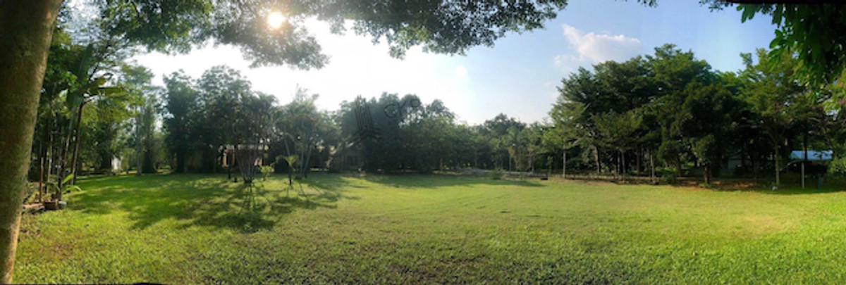 ที่ดินพร้อมสิ่งปลูกสร้าง บ้านพัก เหมาะสำหรับทำรีสอร์ท บ้านพักและสวนผลไม้ ไม่ไกลจากตัวเมืองปราจีนบุรี – รูปที่ 4