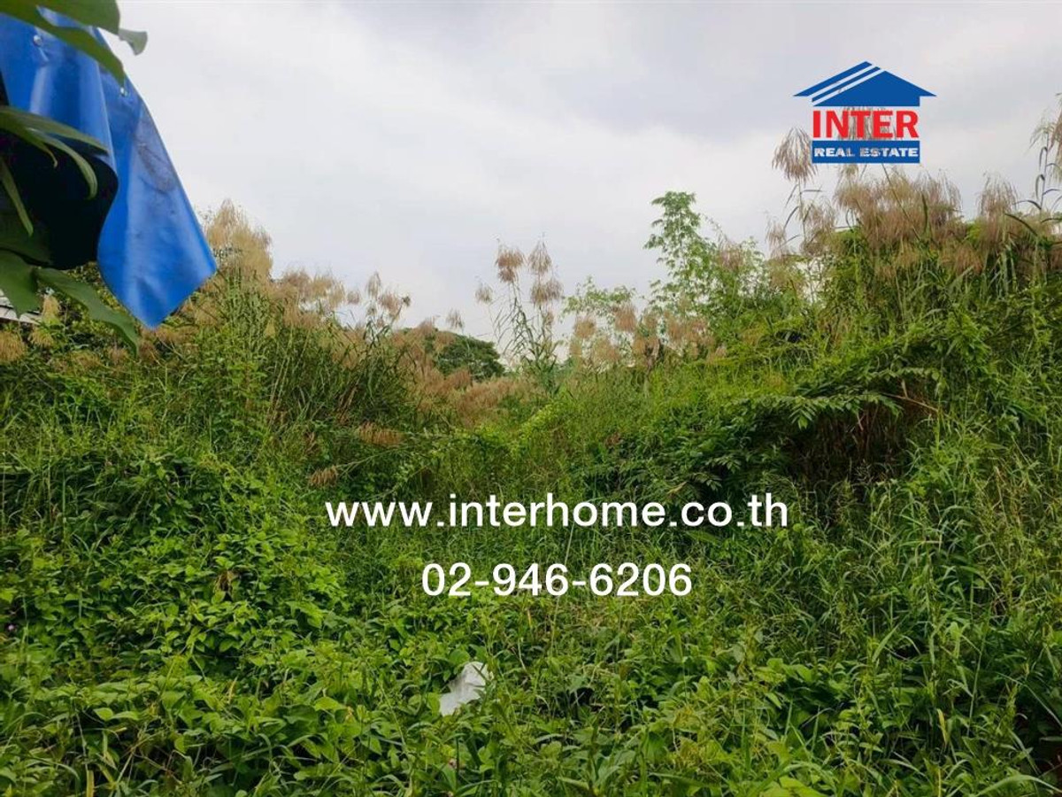 Empty land 204 sq m. Land, Srinakarin Road. Soi Thetsaban Bang Mueang Near Paolo Hospital Srinakarin Road, Theparak Road, Mueang Samut Prakan, Samut Prakan Empty land 204 sq m. Land, Srinakarin Road. Soi Thetsaban Bang Mueang Near Paolo Hospital Srinakarin Road, Theparak Road, Mueang Samut Prakan, Samut Prakan