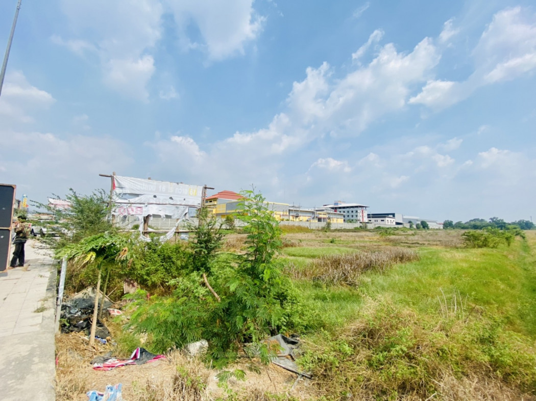 ขาย ที่ดิน ลำลูกกา หทัยราษฎร์ 16 ไร่ 2 งาน 31 ตรว – รูปที่ 3