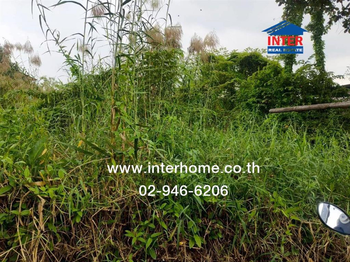 Empty land 204 sq m. Land, Srinakarin Road. Soi Thetsaban Bang Mueang Near Paolo Hospital Srinakarin Road, Theparak Road, Mueang Samut Prakan, Samut Prakan – รูปที่ 4