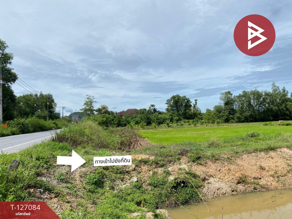 ขายที่ดิน เนื้อที่ 2 ไร่ 36 ตารางวา รัตภูมิ สงขลา – รูปที่ 3