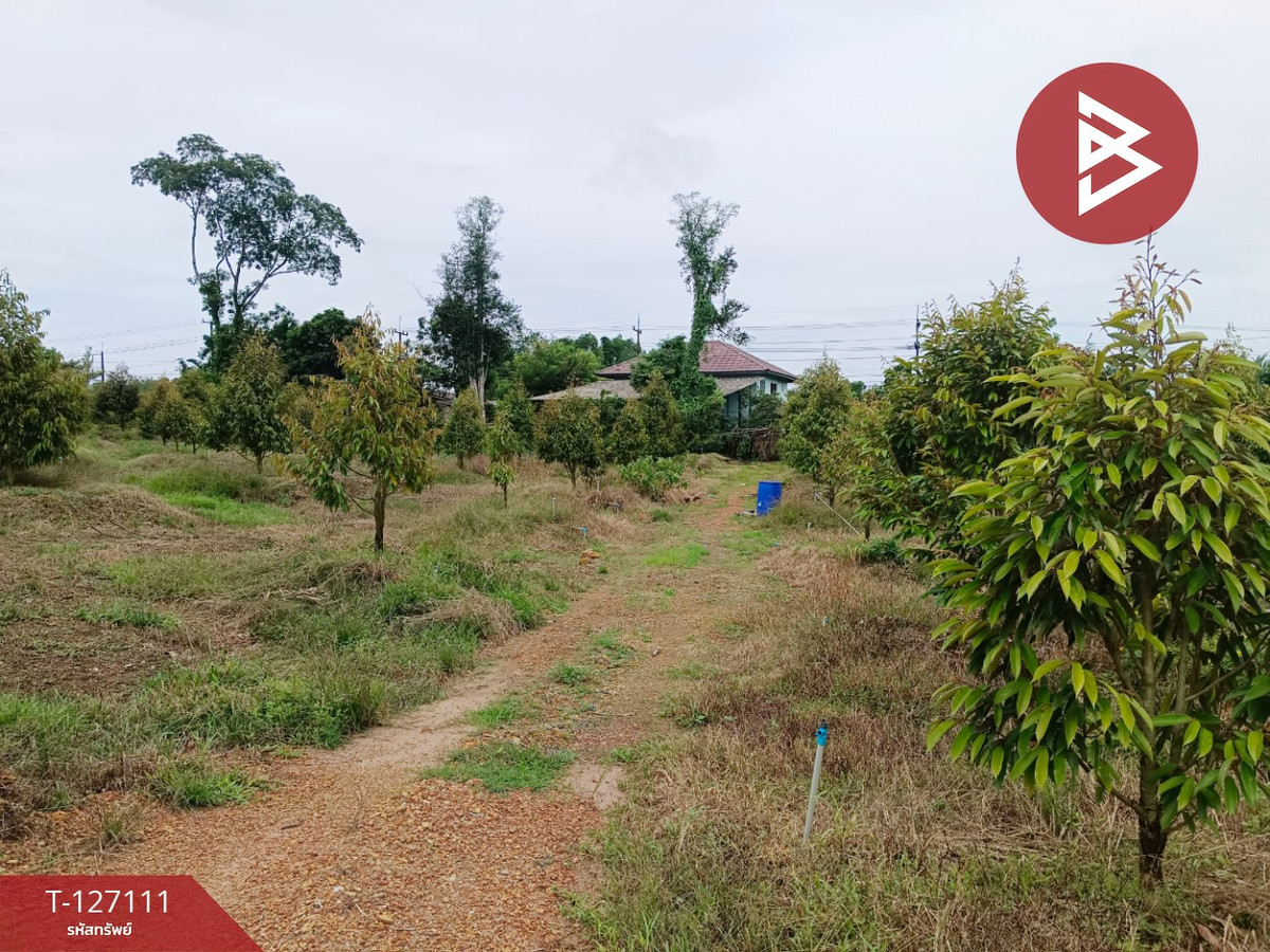 ขายที่ดิน ถ.สุขุมวิท เนื้อที่ 8 ไร่ 16.1 ตร.วา ตะกาง ตราด ขายที่ดิน ถ.สุขุมวิท เนื้อที่ 8 ไร่ 16.1 ตร.วา ตะกาง ตราด