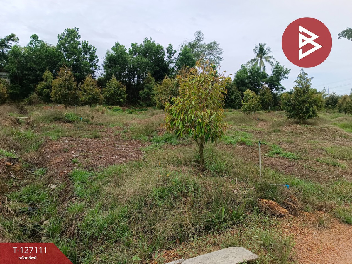  ขายที่ดิน ถ.สุขุมวิท เนื้อที่ 8 ไร่ 16.1 ตร.วา ตะกาง ตราด – รูปที่ 3
