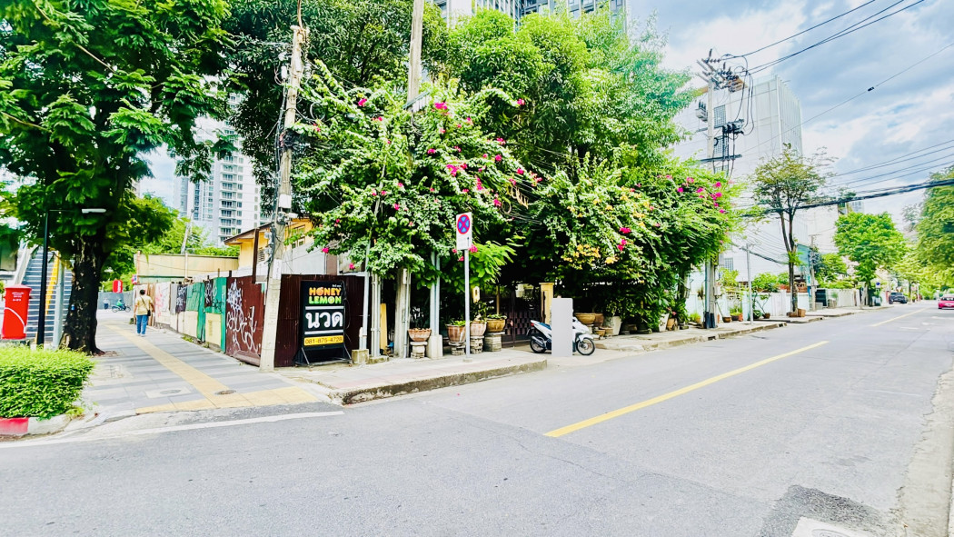 ขาย ที่ดิน ติดถนนใหญ่นราธิวาส        เนื้อที่ 1 งาน 81 ตรว – รูปที่ 4