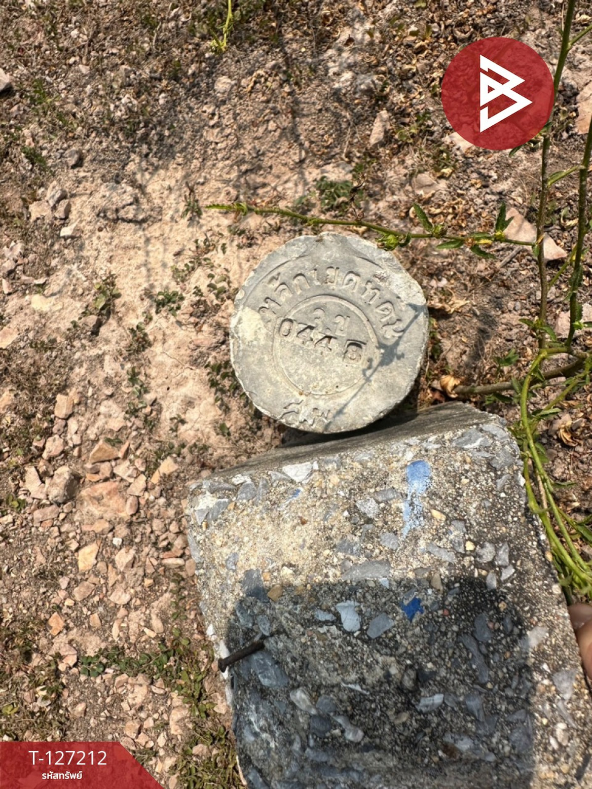 Land for sale, 2 adjacent plots, area 1 rai 52 square wah, Sam Chuk, Suphan Buri. – รูปที่ 3