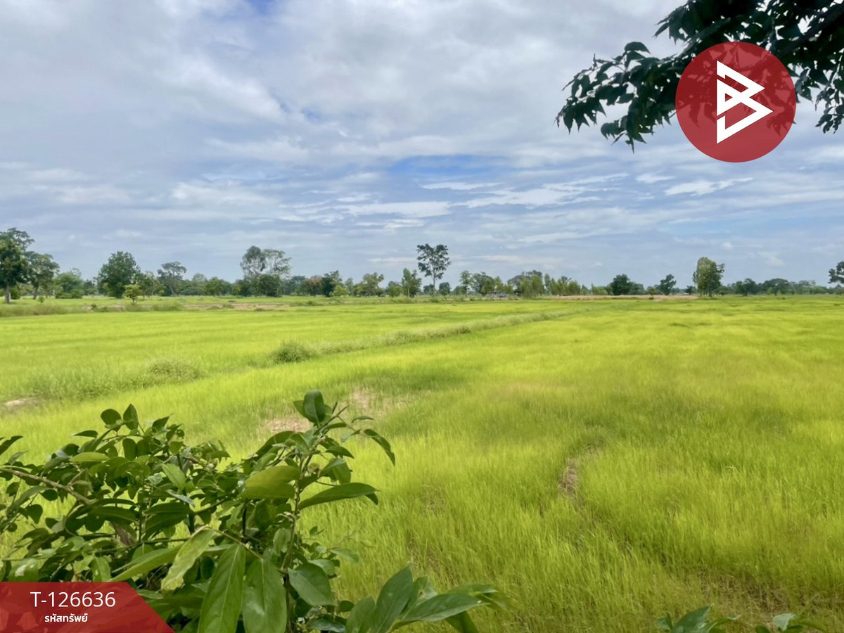 Land for sale, area 21 rai 3 ngan 13 sq m, Chaloem Phra Kiat, Buriram. Land for sale, area 21 rai 3 ngan 13 sq m, Chaloem Phra Kiat, Buriram.