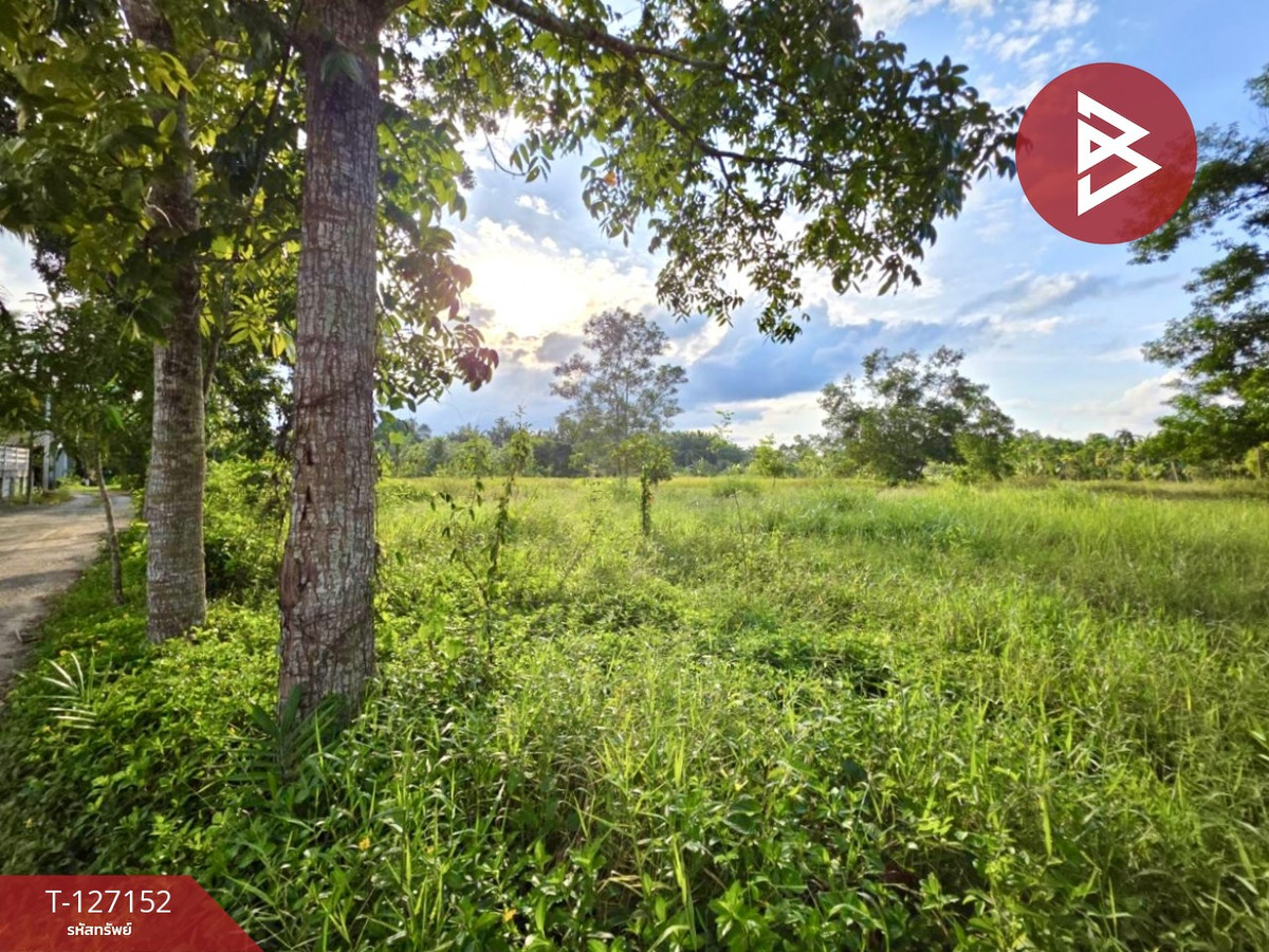 ขายที่ดิน เนื้อที่ 5 ไร่ 3 งาน 13.3 ตร.วา ตากแดด ชุมพร – รูปที่ 4