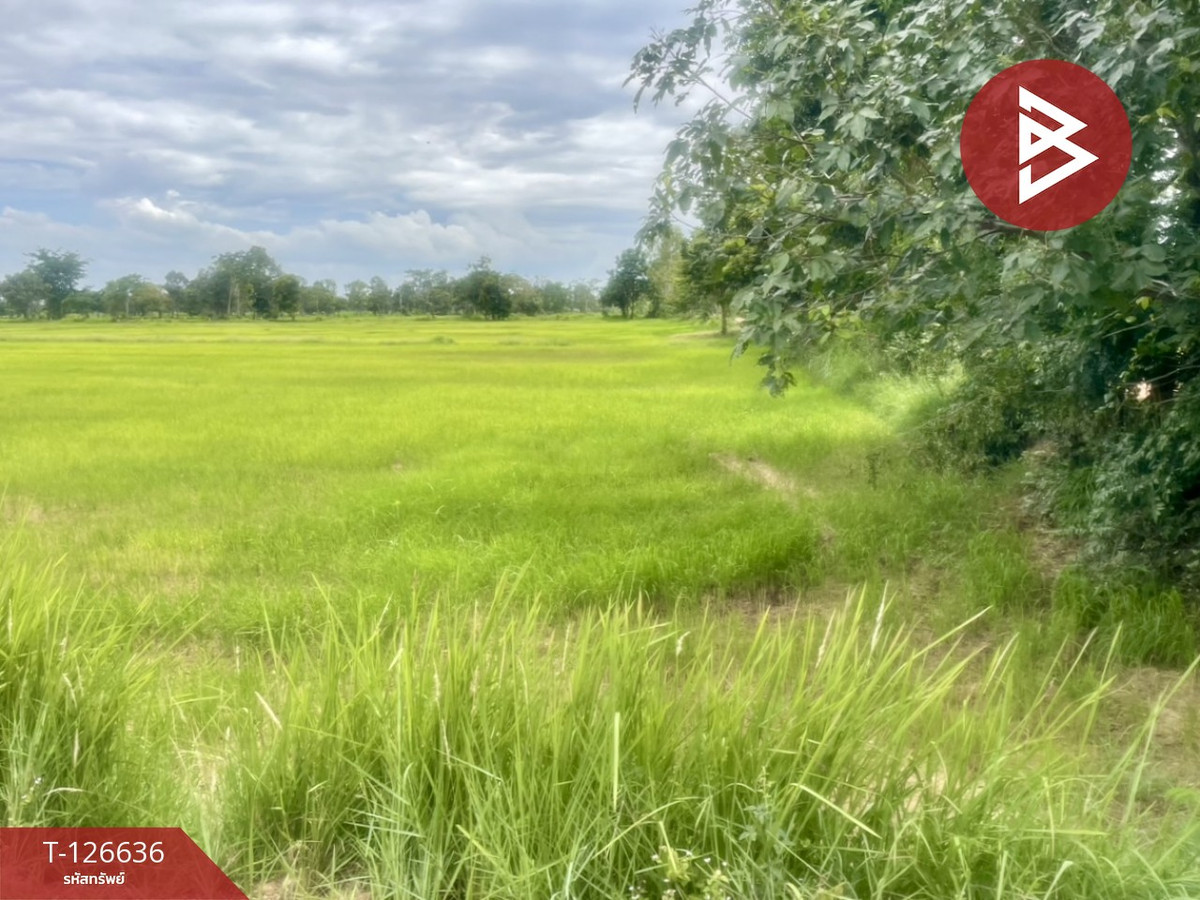 Land for sale, area 21 rai 3 ngan 13 sq m, Chaloem Phra Kiat, Buriram. – รูปที่ 4