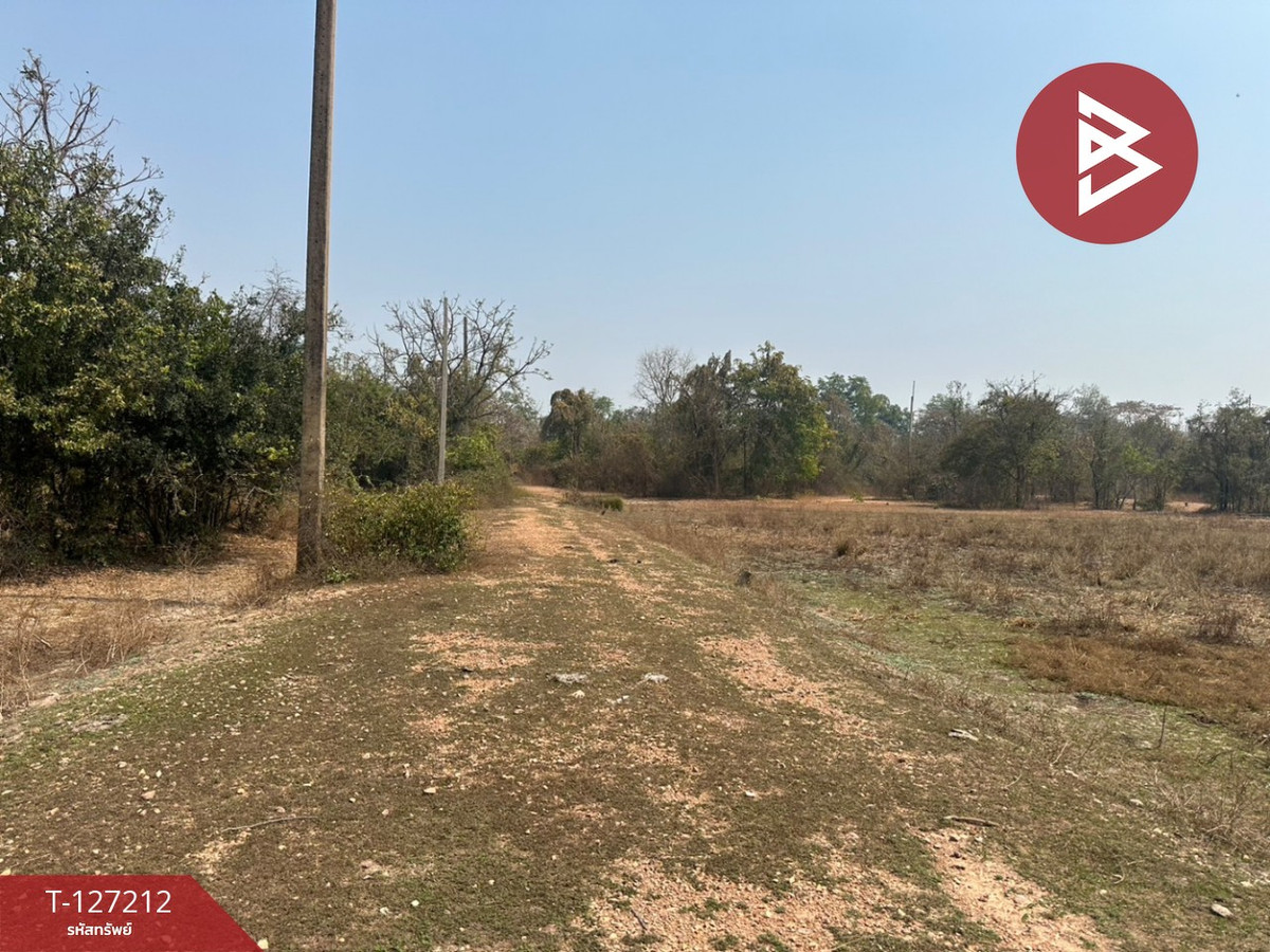 Land for sale, 2 adjacent plots, area 1 rai 52 square wah, Sam Chuk, Suphan Buri. – รูปที่ 4