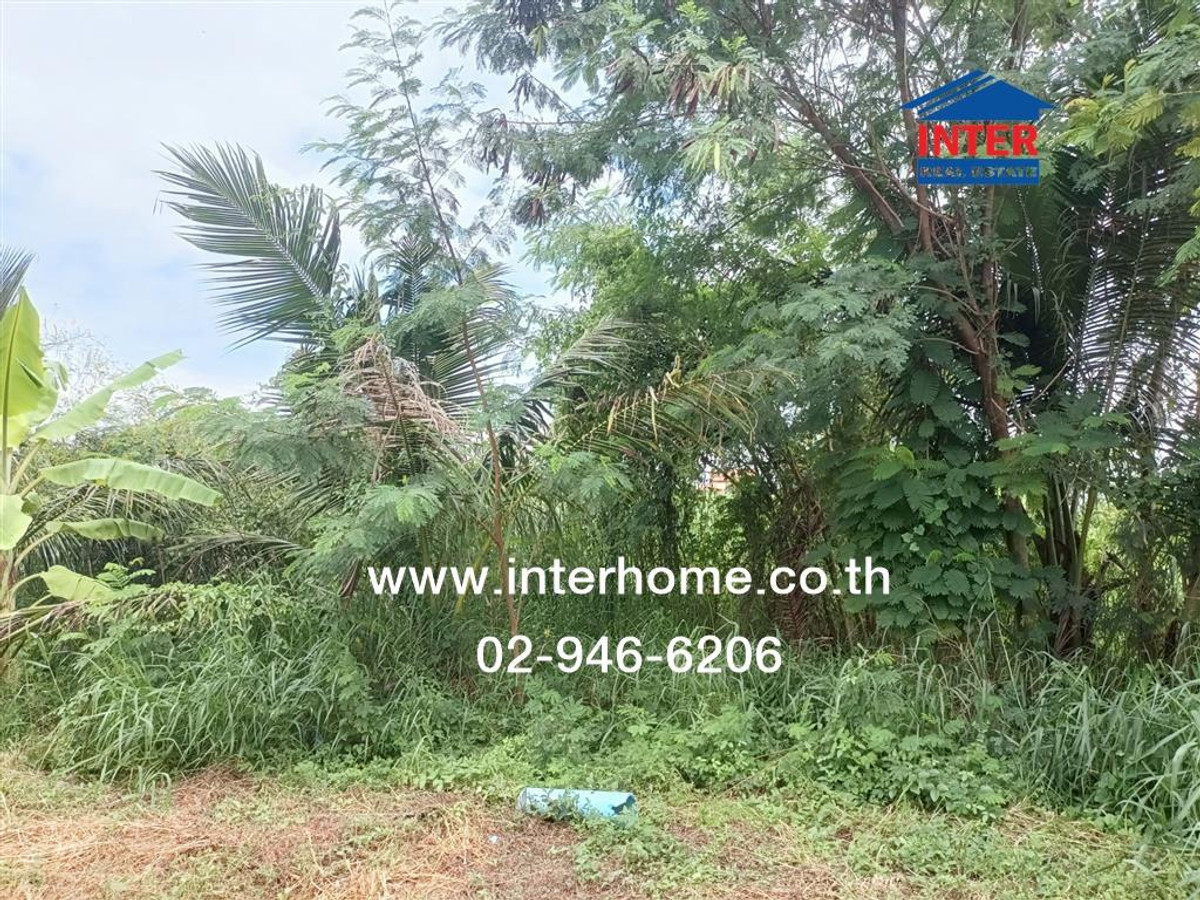 ที่ดินเปล่า 64 ตร.ว. ที่ดิน ซอยบางม่วง-บางคูลัด25 ถนนบางม่วง-บางคูลัด บางใหญ่ นนทบุรี – รูปที่ 2