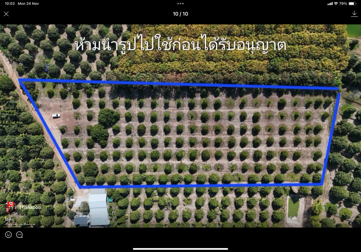 ขายสวนทุเรียน แกลง ระยอง ขายสวนทุเรียน แกลง ระยอง