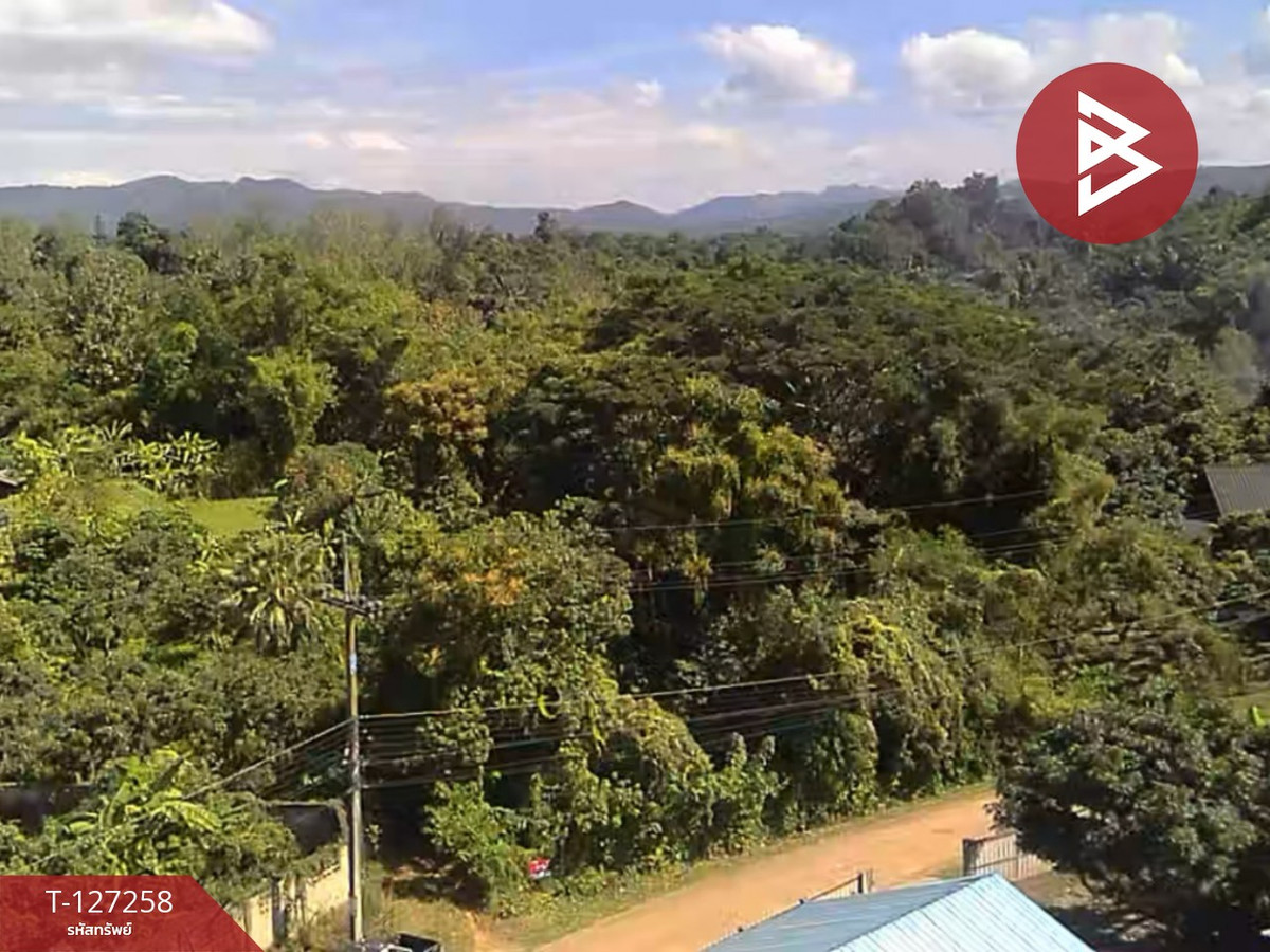 ขายที่ดิน เนื้อที่ 1 ไร่ 62 ตร.วา แม่แตง เชียงใหม่ – รูปที่ 2