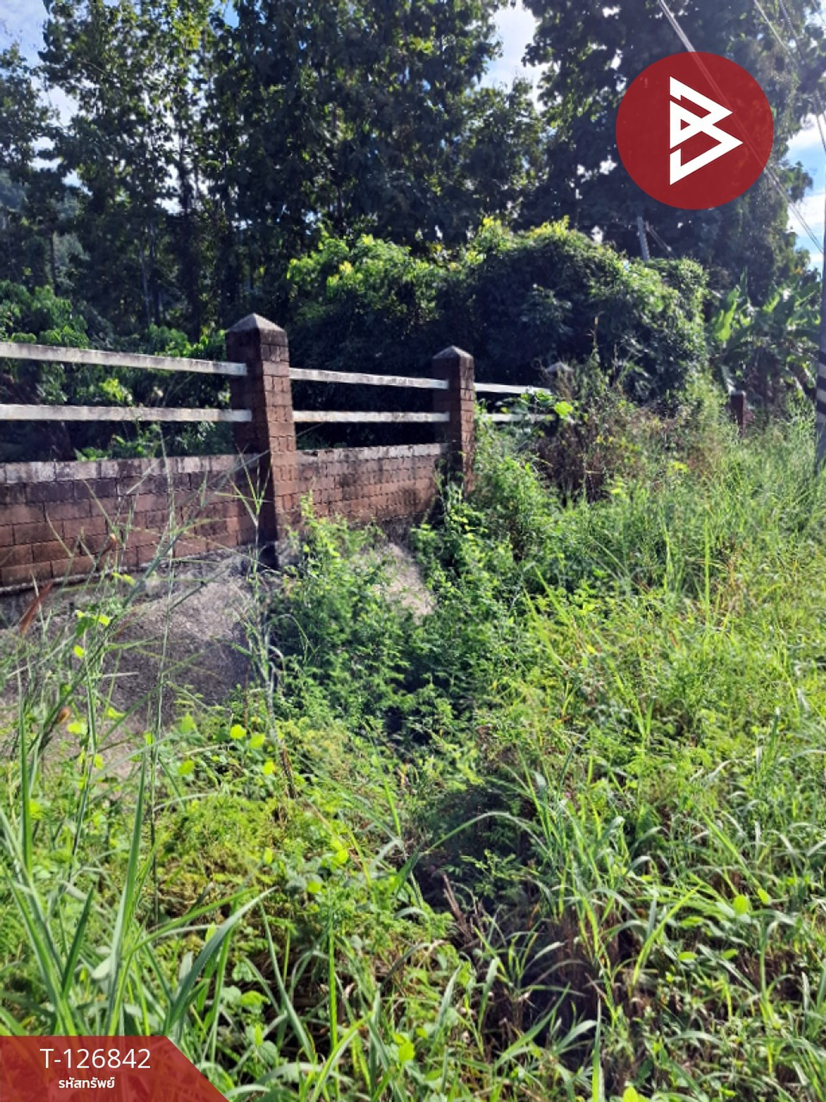 Land for sale, area 3 rai 3 ngan 65 sq m, Khun Tan, Chiang Rai. – รูปที่ 4