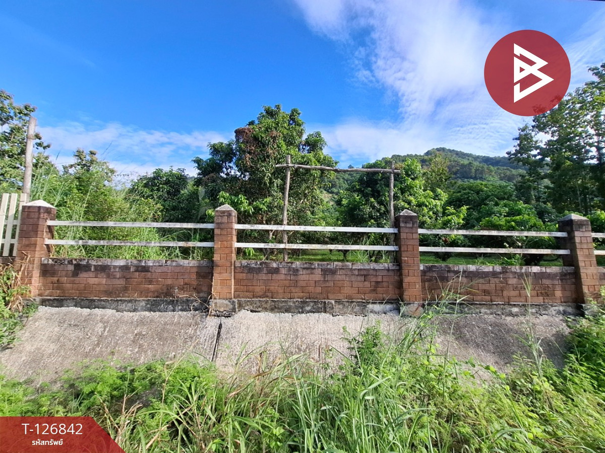Land for sale, area 3 rai 3 ngan 65 sq m, Khun Tan, Chiang Rai. – รูปที่ 2