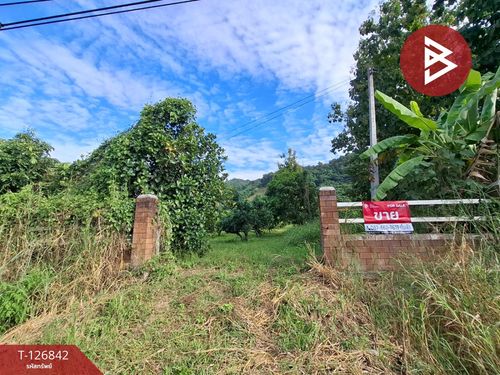 Land for sale, area 3 rai 3 ngan 65 sq m, Khun Tan, Chiang Rai.