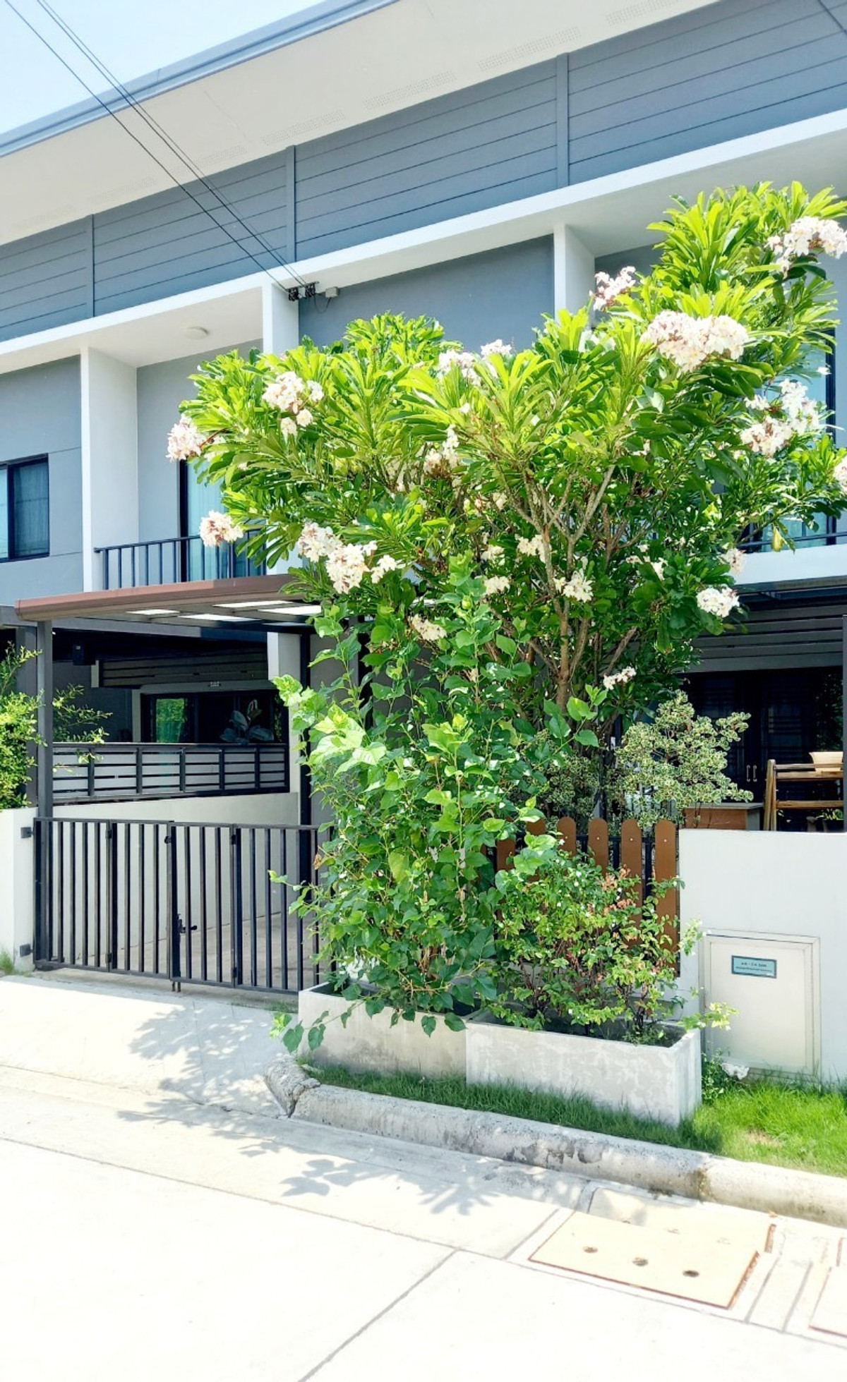ขายทาวน์เฮ้าส์ เดอะคัลเลอร์ บางนา–วงแหวน 4